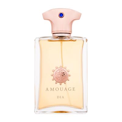 Amouage Dia pour Homme Parfumska voda za moške 100 ml