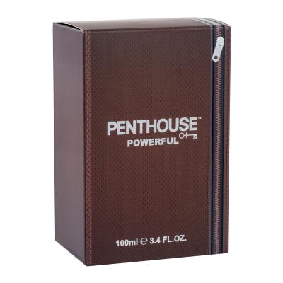 Penthouse Powerful Toaletna voda za moške 100 ml