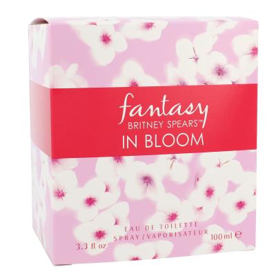 Britney Spears Fantasy in Bloom Toaletna voda za ženske 100 ml