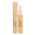 Estée Lauder Double Wear Brush-On-Glow BB Osvetljevalec za ženske 2,2 ml Odtenek 2C Light Medium