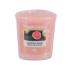 Yankee Candle Delicious Guava Dišeča svečka 49 g