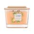 Yankee Candle Elevation Collection Tonka Bean & Pumpkin Dišeča svečka 347 g