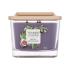 Yankee Candle Elevation Collection Fig & Clove Dišeča svečka 347 g