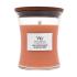 WoodWick Chilli Pepper Gelato Dišeča svečka 275 g