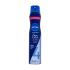 Nivea Care & Hold Regenerating Styling Spray Lak za lase za ženske 250 ml