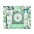 Xpel Eucalyptus & Peppermint Foot Care Kit Darilni set krema za stopala Eucalyptus & Peppermint Foot Cream 100 ml + kopel za stopala Eucalyptus & Peppermint Foot Soak 100 ml + piling za stopala Eucalyptus & Peppermint Foot Scrub 100 ml poškodovana škatla