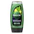 Radox Refreshment Menthol And Citrus 3-in-1 Shower Gel Gel za prhanje za moške 225 ml