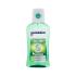 Mentadent Teeth and Gums Mint Ustna vodica 300 ml