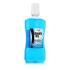 Zidac Laboratories Absolute Ice Coolmint Mouthwash Ustna vodica 500 ml