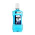 Zidac Laboratories Absolute Ice Whitening Mouthwash Ustna vodica 500 ml