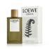 Loewe Esencia Toaletna voda za moške 150 ml
