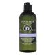 L'Occitane Aromachology Gentle & Balance Micellar Shampoo Šampon za ženske 300 ml