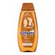 Schwarzkopf Schauma Argan Oil & Repair Shampoo Šampon za ženske 400 ml