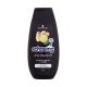 Schwarzkopf Schauma Men Anti-Dandruff Intense Shampoo Šampon za moške 250 ml