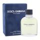 Dolce&Gabbana Pour Homme Toaletna voda za moške 125 ml