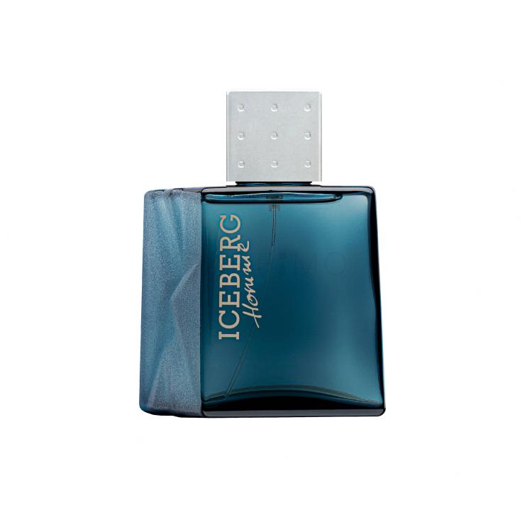 Iceberg Homme Toaletna voda za moške 50 ml