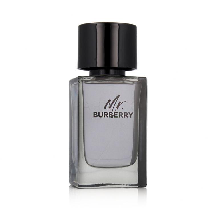 Burberry Mr. Burberry Toaletna voda za moške 100 ml