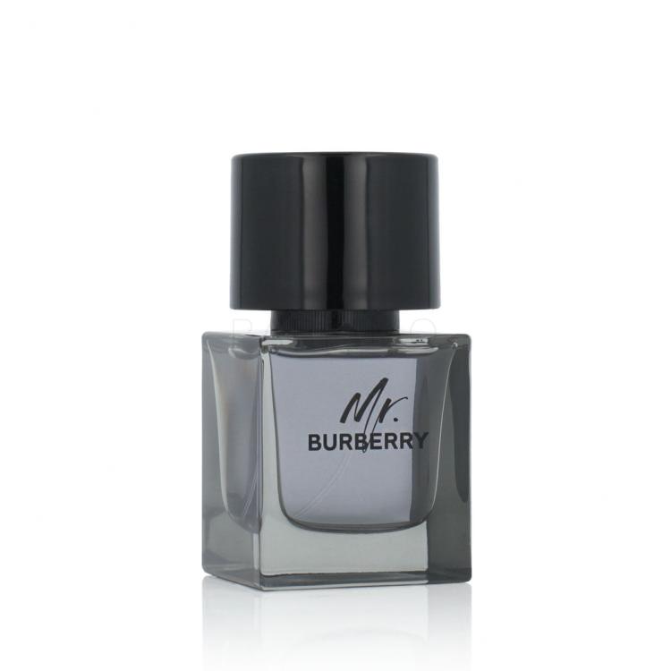 Burberry Mr. Burberry Toaletna voda za moške 50 ml