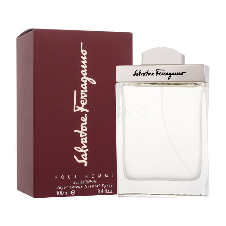 Ferragamo Pour Homme Toaletna voda za moške 100 ml