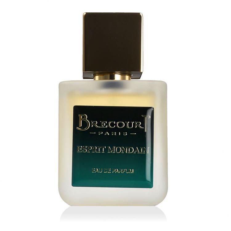 Brecourt Esprit Mondain Parfumska voda za moške 50 ml