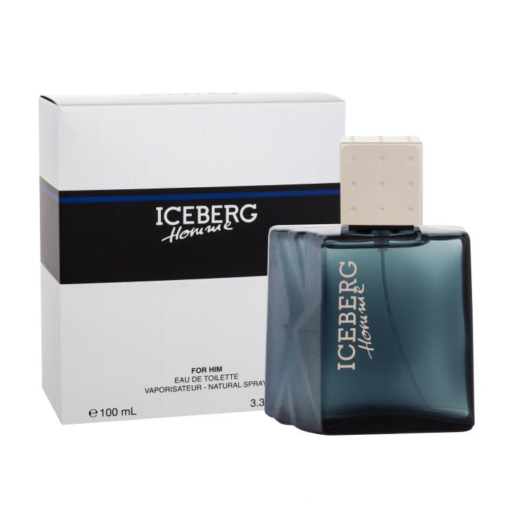 Iceberg Homme Toaletna voda za moške 100 ml