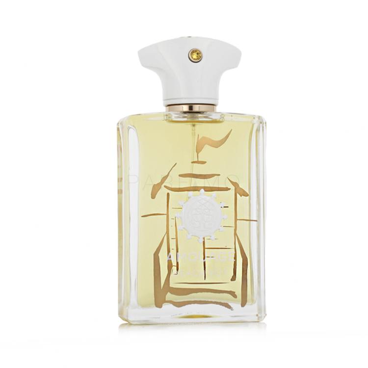 Amouage Beach Hut Man Parfumska voda za moške 100 ml