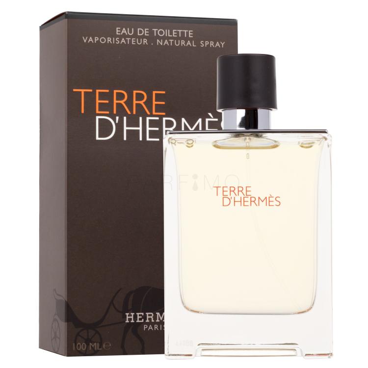 Hermes Terre d´Hermès Toaletna voda za moške 100 ml poškodovana škatla