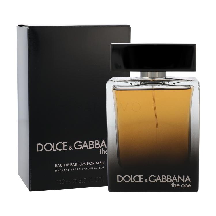 Dolce&amp;Gabbana The One Parfumska voda za moške 100 ml
